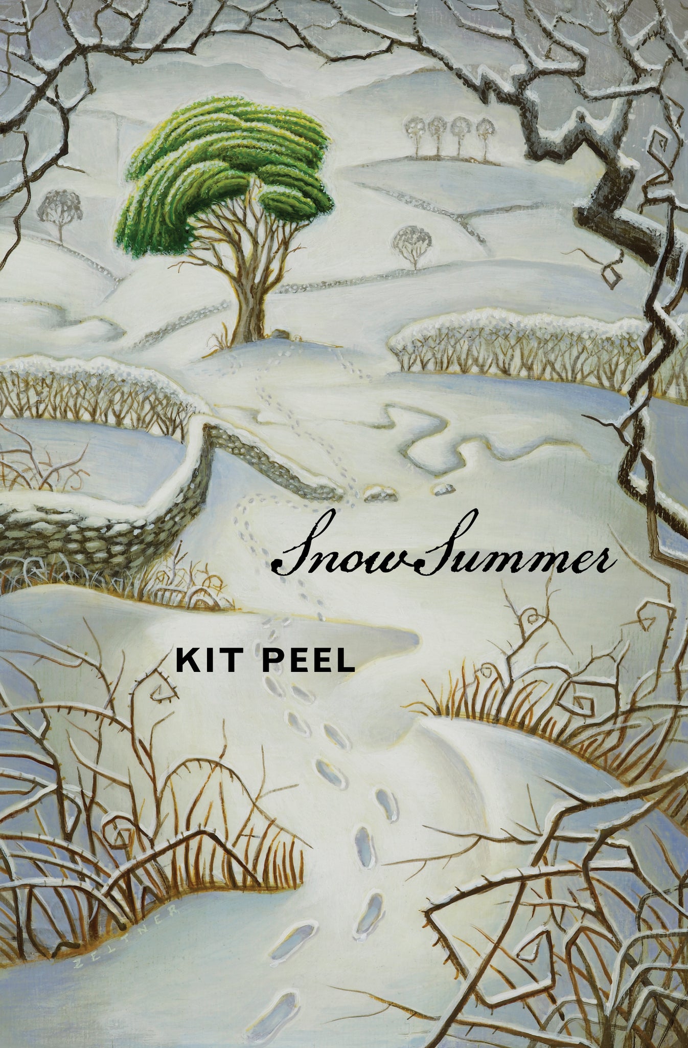 Cover image for Snow Summer ISBN 9781554983575